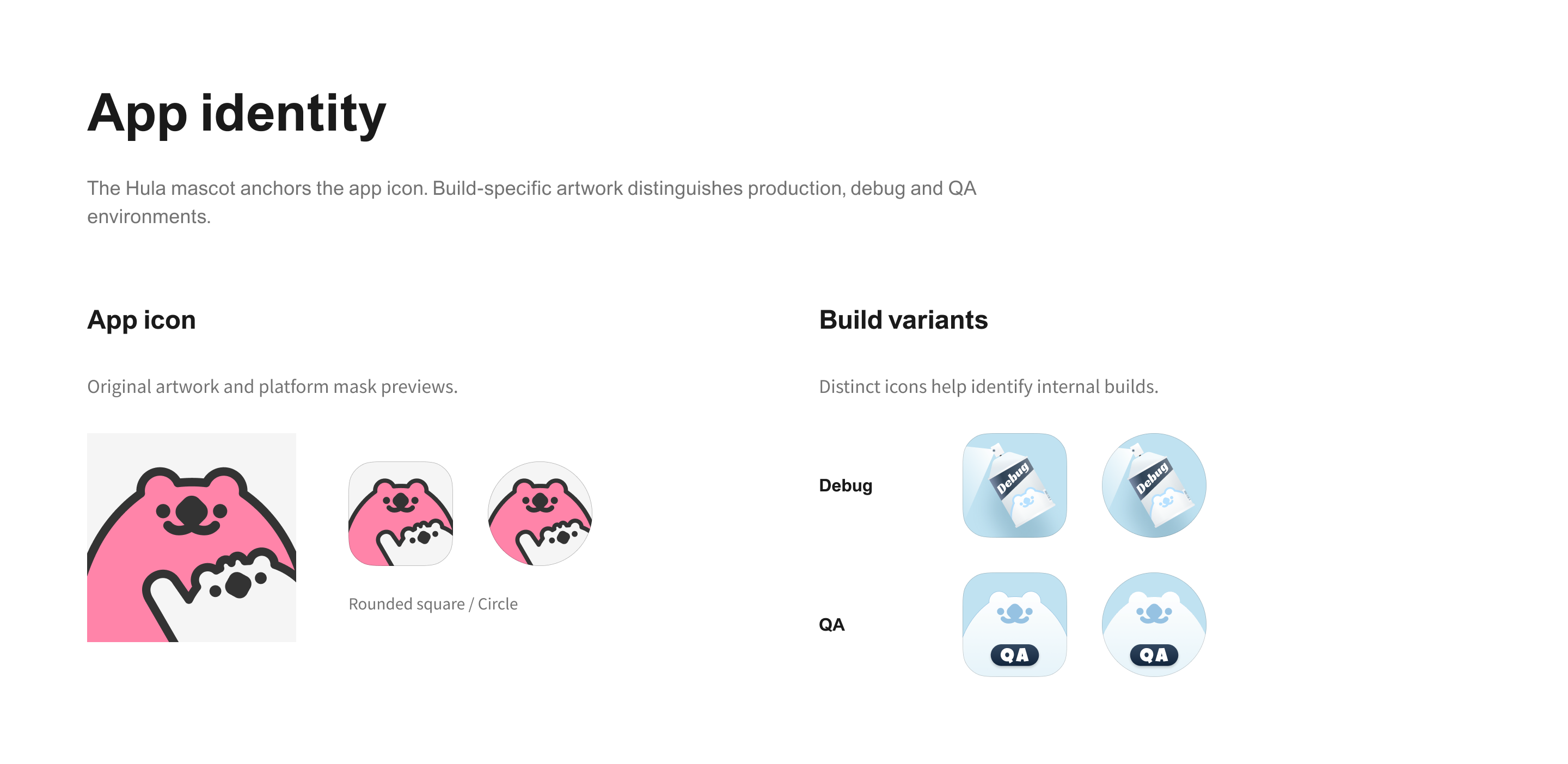 App identity — app icon and build variants